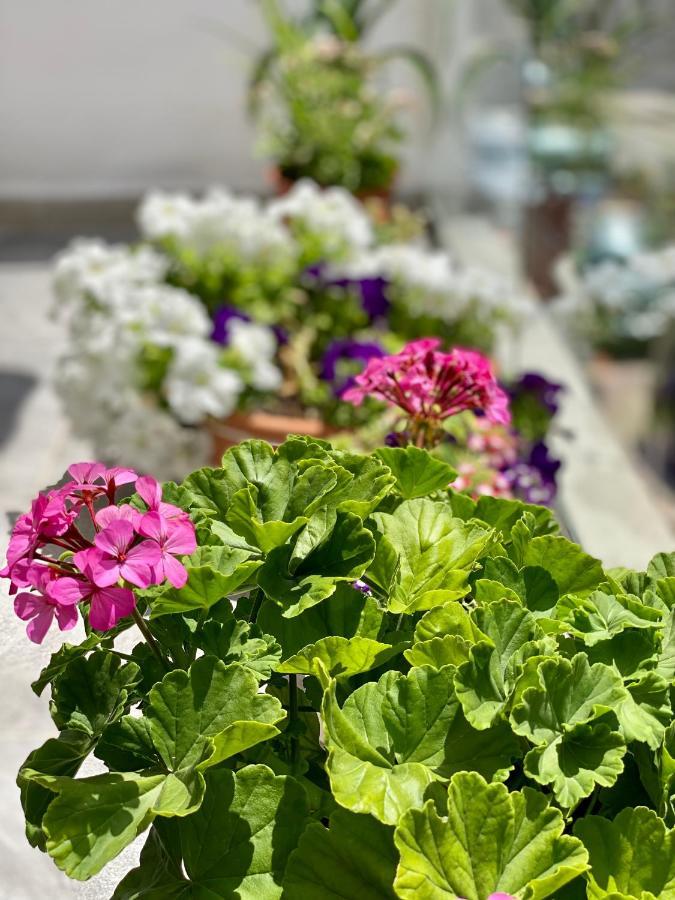Violet'S Boutique Apartments Саранда Экстерьер фото